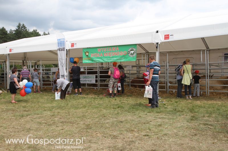Sobota na Opolagrze 2016 razem z Gospodarz.pl