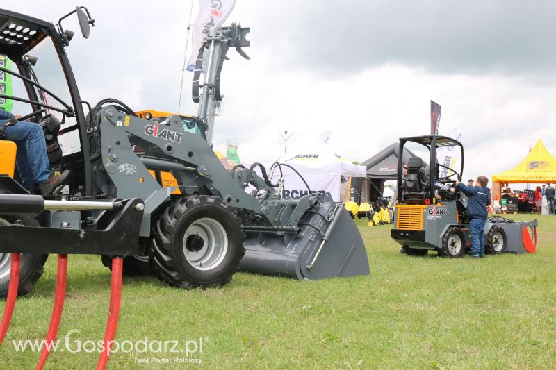 Giant na AGRO-TECH Minikowo 2017