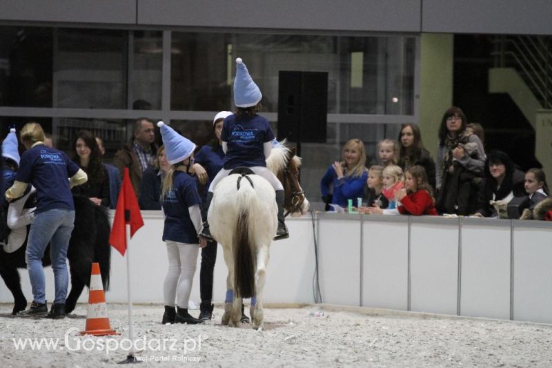 CAVALIADA 2013 w Poznaniu