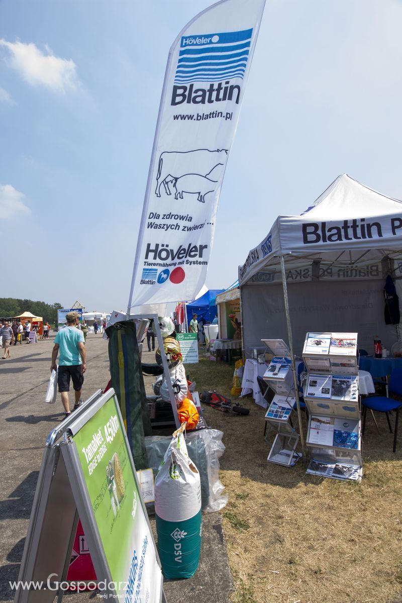 OPOLAGRA 2015 w Kamieniu Śląskim