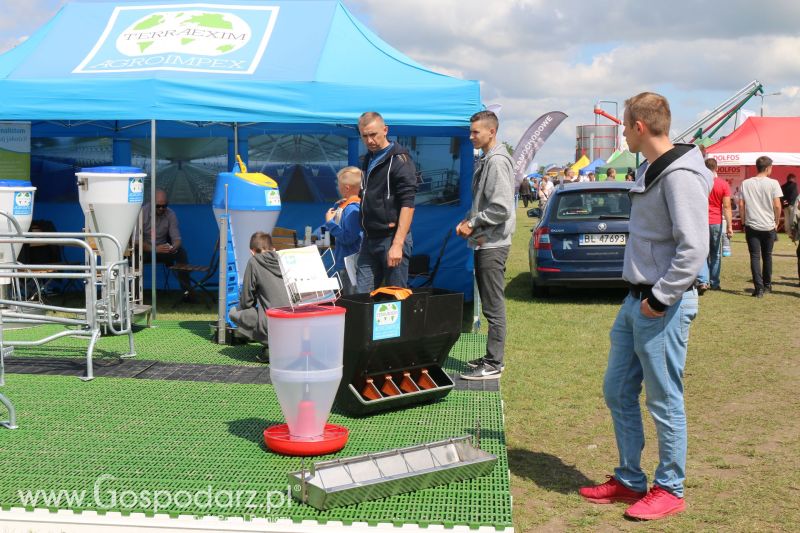 Terraexim-Agroimpex na AGRO-TECH Minikowo 2017