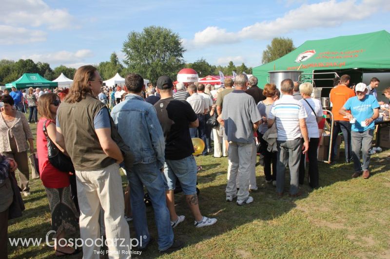 Świętomięs Polski w Chorzowie