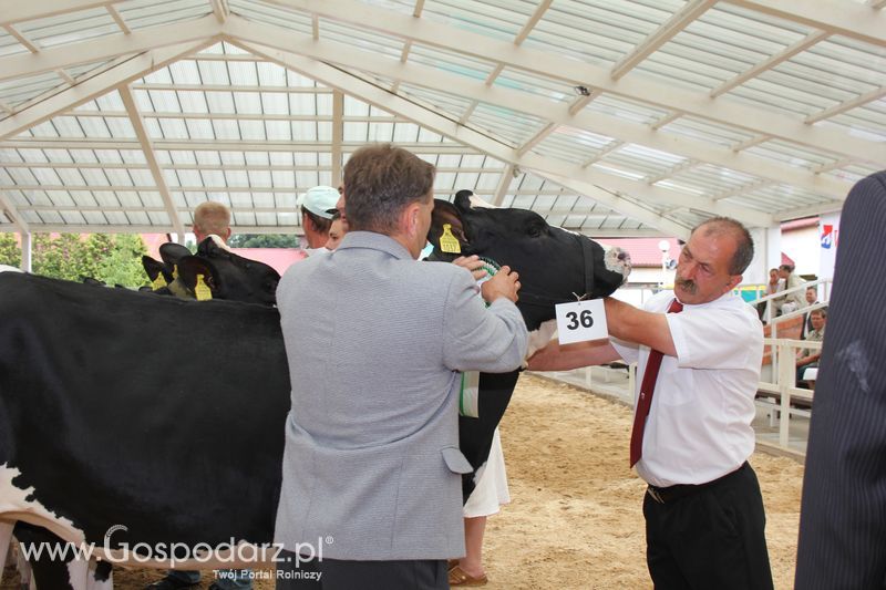 Wystawa bydła Sielinko 2011
