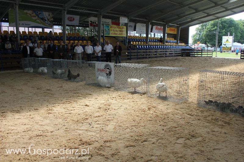 Regionalna Wystawa Zwierząt Hodowlanych i Dni z Doradztwem Rolniczym w Szepietowie-niedziela