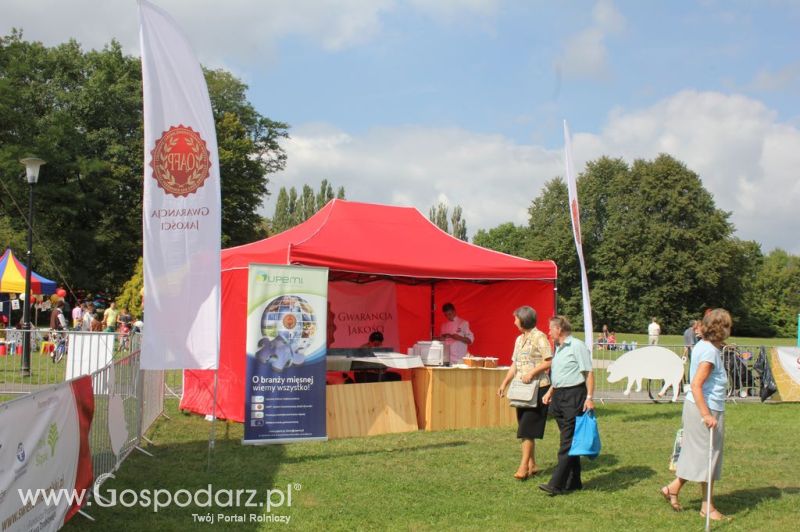 Świętomięs Polski w Chorzowie