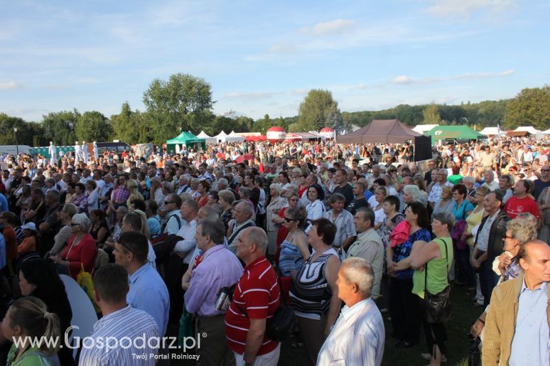 Świętomięs Polski w Chorzowie