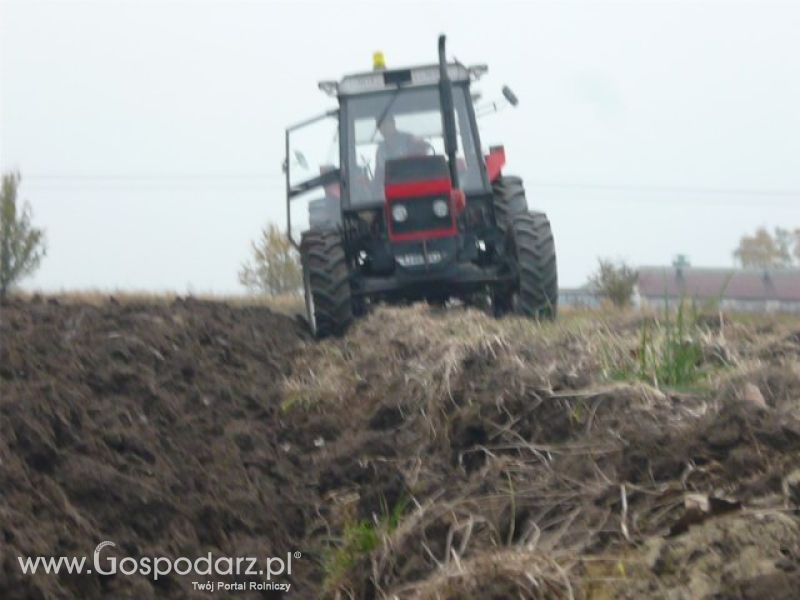 MrZgredy de luxa mają więc w polu sobie rade dają Orka Zimowa 2011