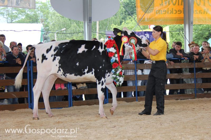 Wręczenie nagród na XVIII Regionalnej Wystawie Zwierząt Hodowlanych w Szepietowie