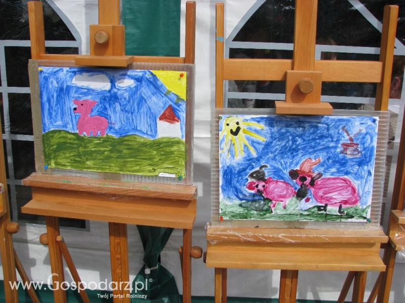 Festiwal Wieprzowiny w Koźminie Wielkopolskim 2013