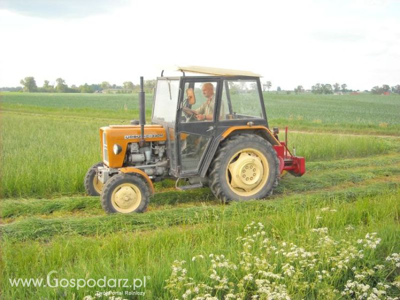 pierwsze sianokosy w roli głownej ursus c330M...