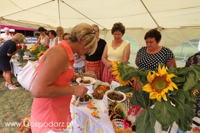 XI Święto Gęsi w Biskupcu