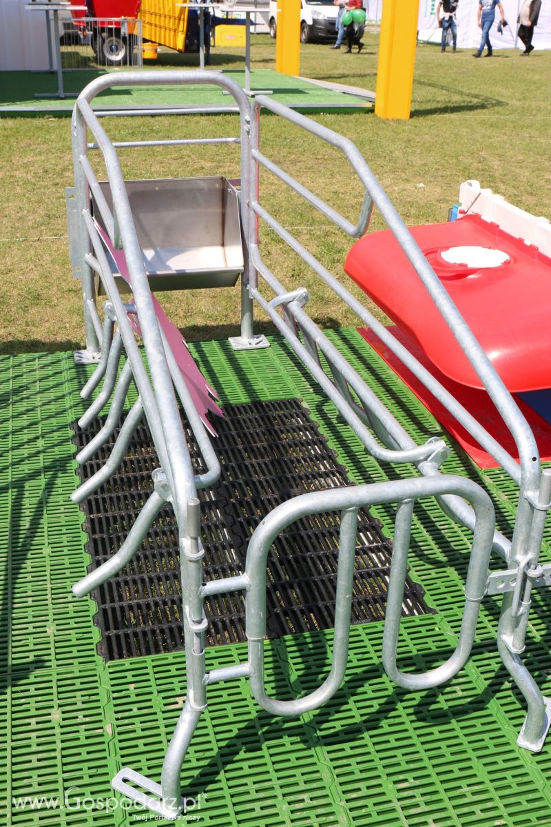 Terraexim-Agroimpex na AGRO-TECH Minikowo 2017