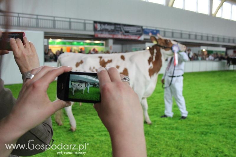 XXVI Krajowa Wystawa Zwierząt Hodowlanych - sobota i niedziela