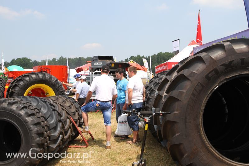 OPOLAGRA 2015 w Kamieniu Śląskim