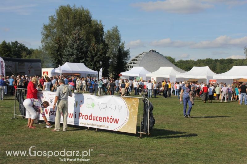 Świętomięs Polski w Chorzowie