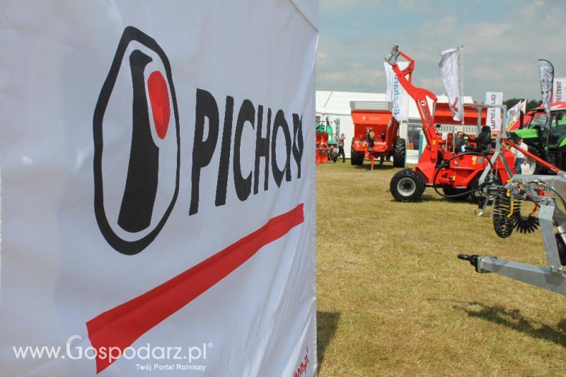 Pichon na Opolagrze 2013