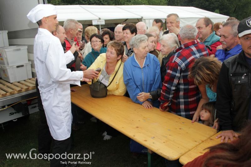 Świętomięs Polski w Chorzowie