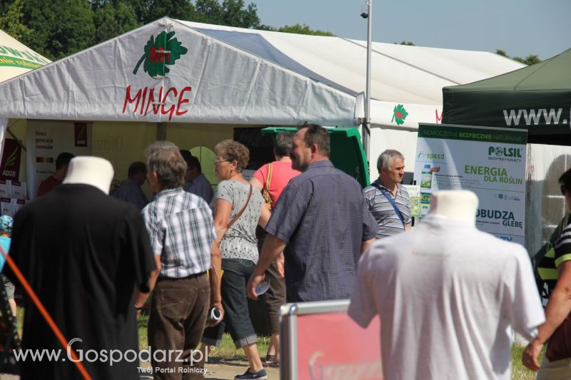 Zielone AGRO SHOW – POLSKIE ZBOŻA 2014 w Sielinku - niedziela