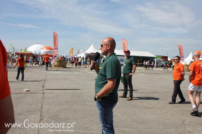 Turniej Precyzyjny Gospodarz Opolagra 2013 niedziela