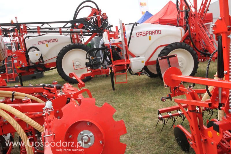 Maschio Gaspardoona na OPOLAGRA Kamień Śląski 2018