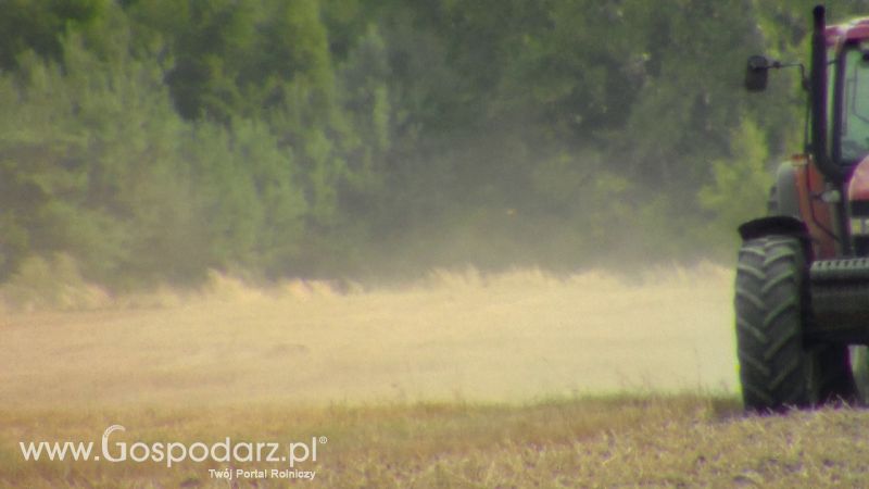 Talerzowane 2013 