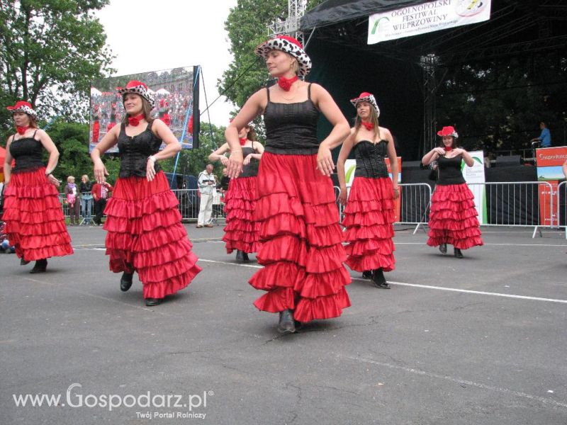 Festiwal Wieprzowiny w Koźminie Wielkopolskim 2013