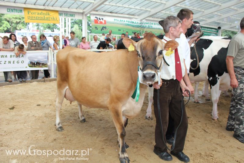 Czempioni XVII Regionalnej Wystawy Zwierząt Hodowlanych Sielinko 2011
