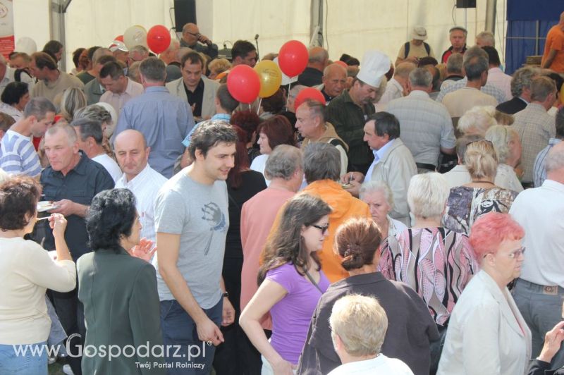 Świętomięs Polski w Chorzowie