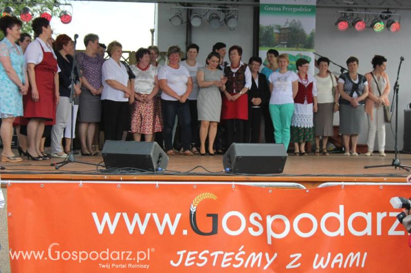 Święto Kaczki w Przygodzicach