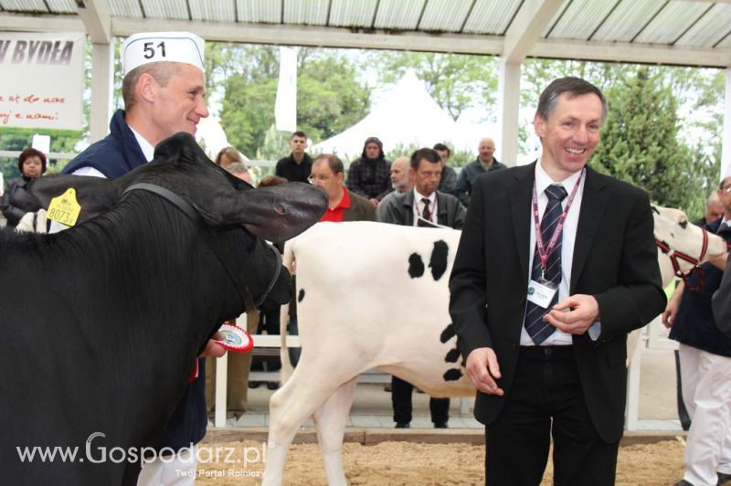VII Ogólnopolska Wystawa Bydła Hodowlanego - Sielinko 2012