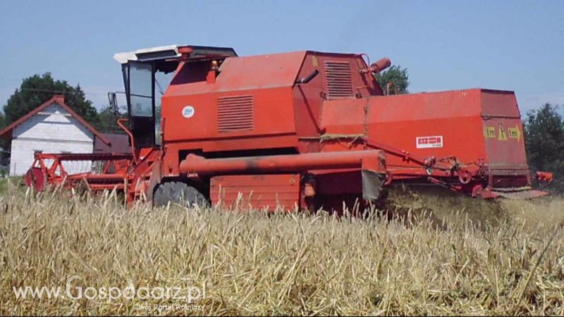 ŻNIWA 2012