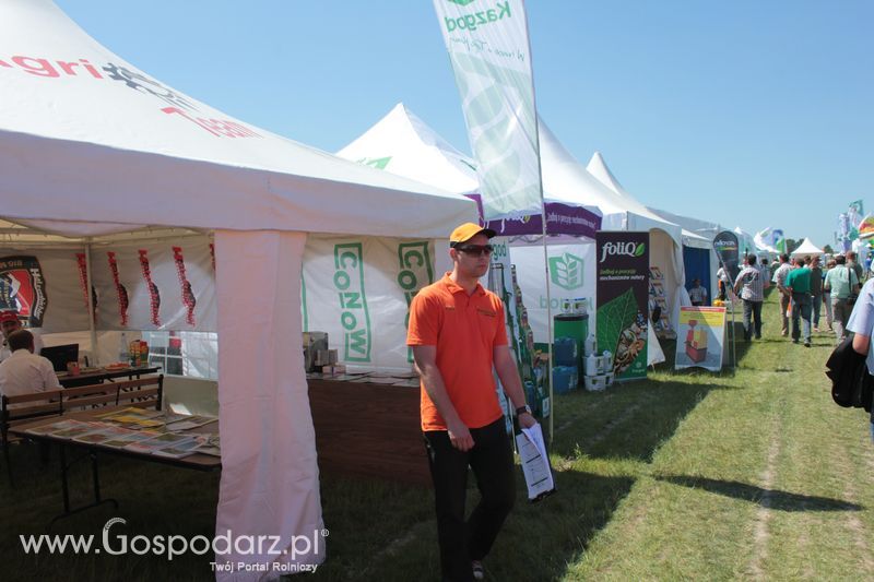 Polskie Zboża 2011 - Piątek 