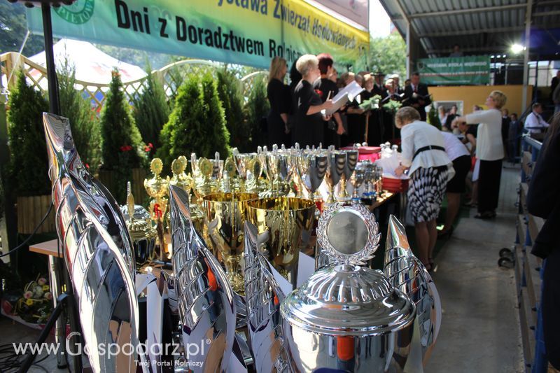 Nagrody - Szepietowo 2012 XIX Regionalna Wystawa Zwierząt Hodowlanych