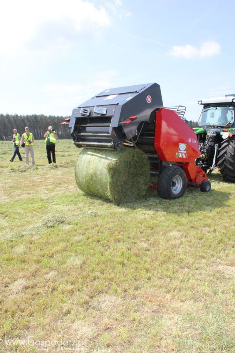 Zielone Agro Show pokaz maszyn rolniczych