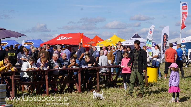 V Wojewódzki Konkurs ORKI