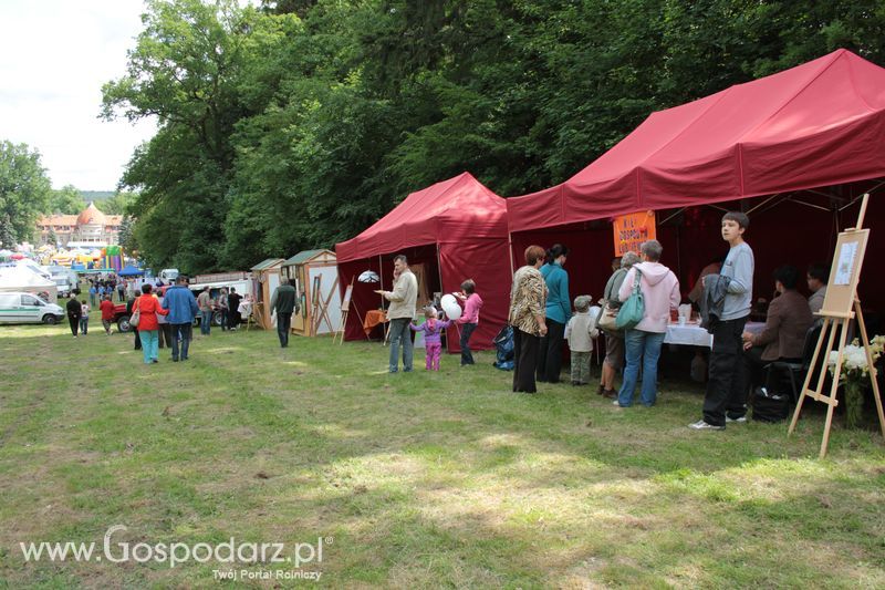 XX Targi Rolnicze Lubniewice 