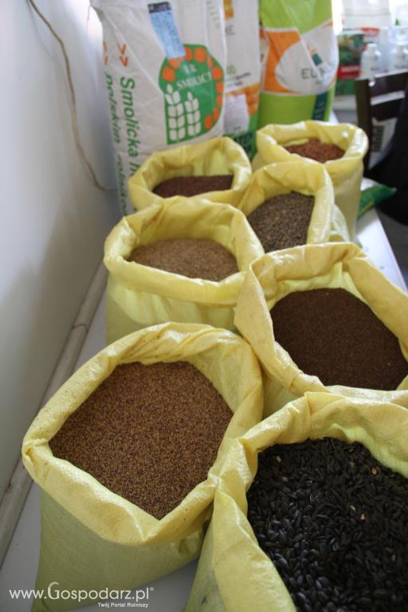 Targi Rolno-Ogrodnicze AGROMARSZ 2014