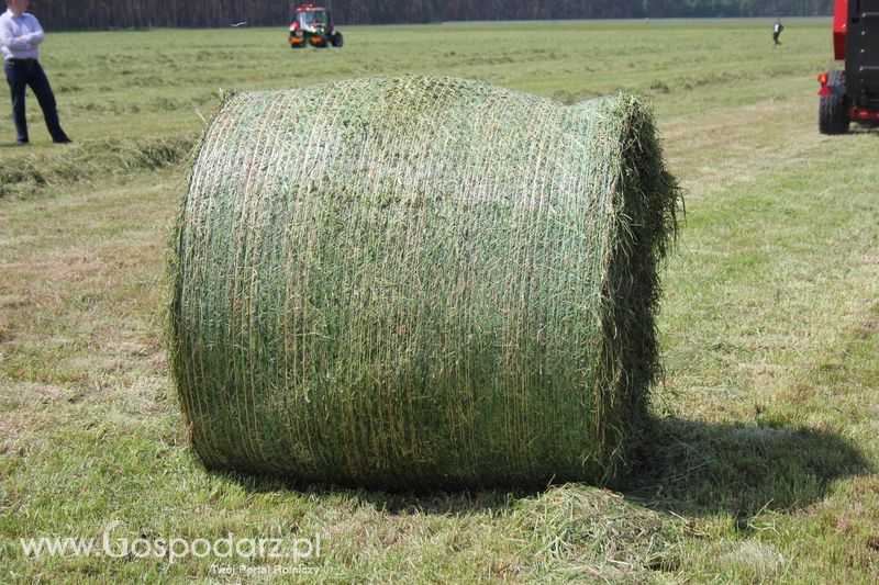 Zielone Agro Show pokaz maszyn rolniczych