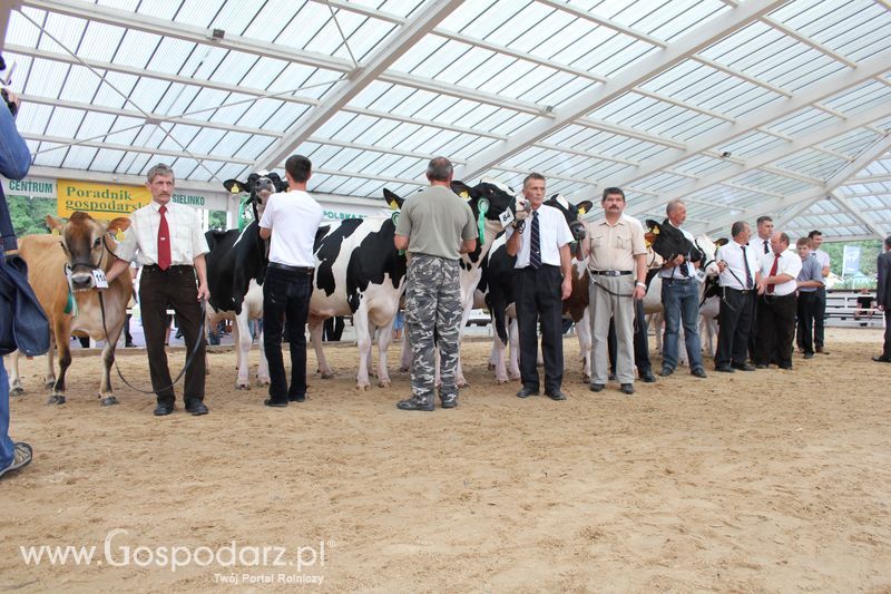 Czempioni XVII Regionalnej Wystawy Zwierząt Hodowlanych Sielinko 2011