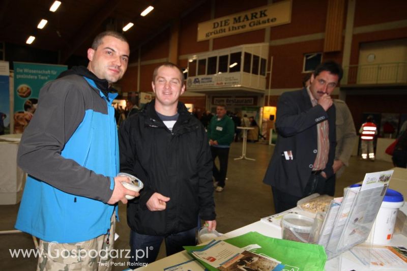 Wystawa  Blickpunkt Rind 2013 w miejscowości Paaren/Glien (Niemcy)
