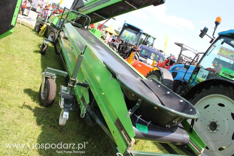 Bogart  - Minikowo 2012