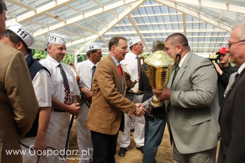 Championi VII Ogólnopolskiej Wystawy Bydła Hodowlanego - Sielinko 2012