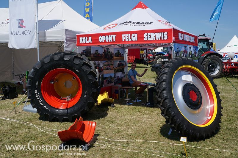 Grasdorf Koła Polska Sp. z o.o. na Targach Agro-Tech w Minikowie