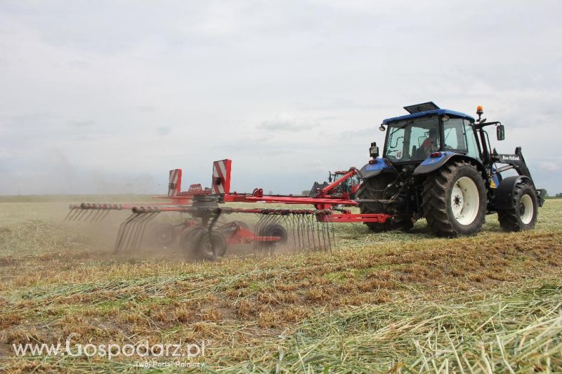Pokazy polowe Romanów k/Krotoszyna