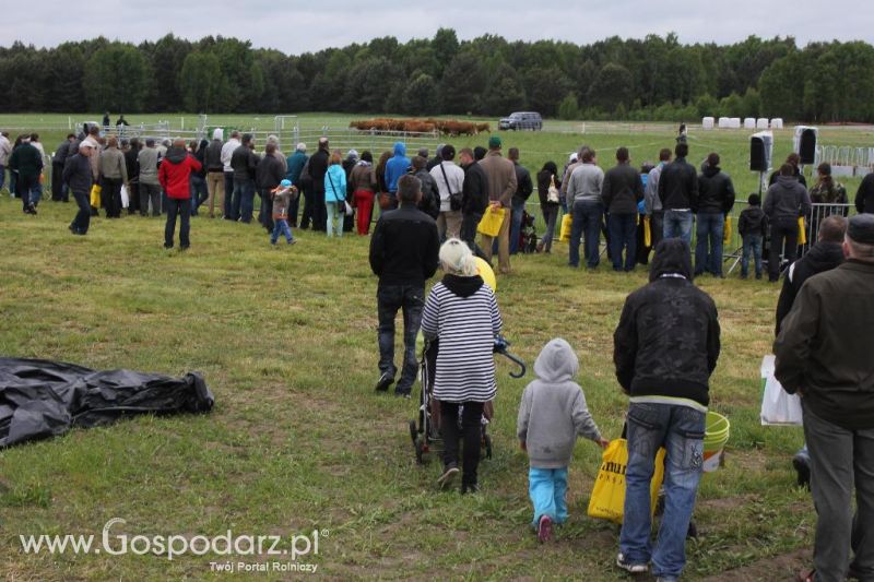 Polskie Zboża i Zielone Agro Show 2013