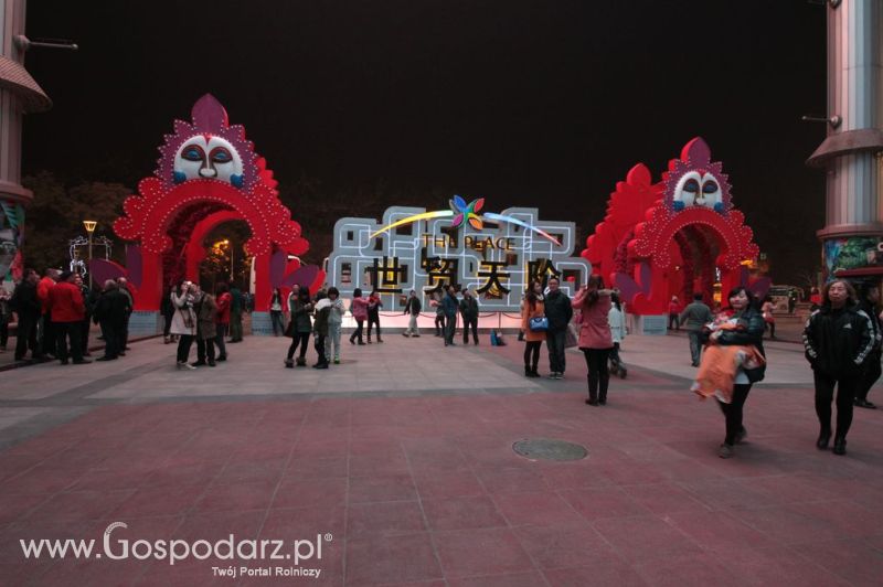 Gospodarz.pl w Chinach
