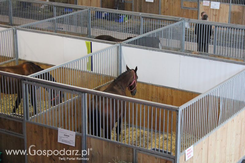 XXV Krajowa Wystawa Zwierząt Hodowlanych Niedziela