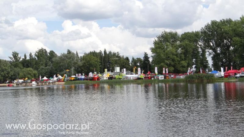 XVII Pałuckie Targi Rolne i XI Pałucka Wystawa Zwierząt Hodowlanych w Żninie