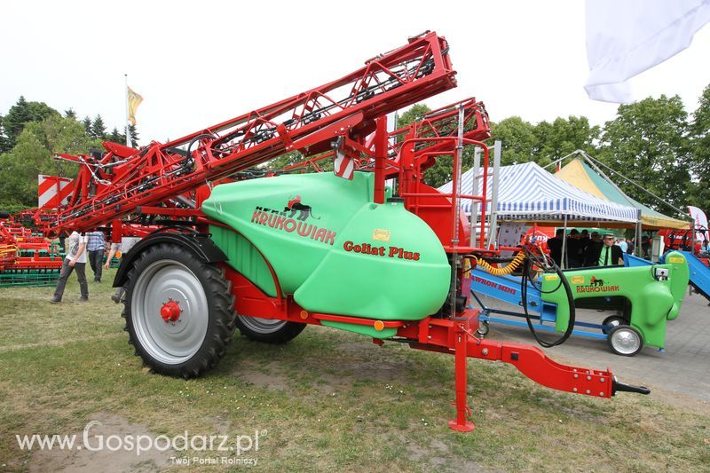 Zielone AGRO SHOW - Polskie Zboża 2015 w Sielinku