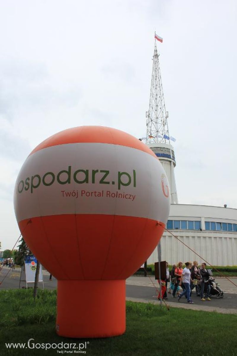 XXVI Krajowa Wystawa Zwierząt Hodowlanych - sobota i niedziela